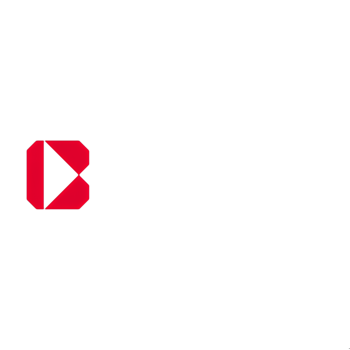 Bracol safety boot